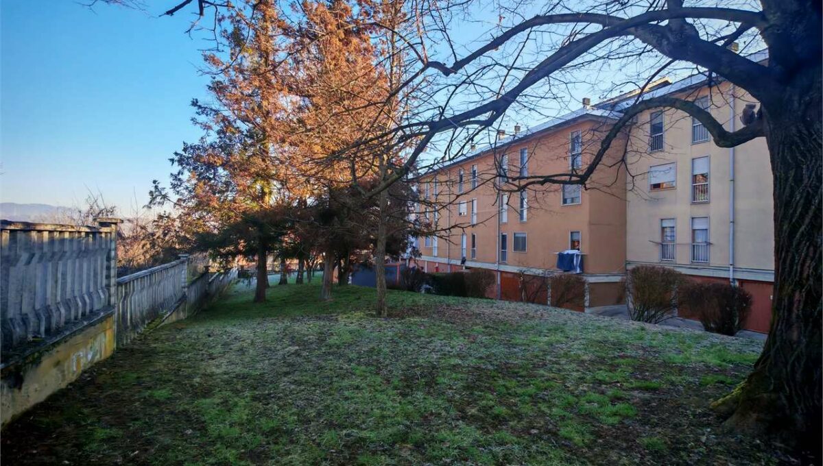 imm_16558-20250217160055-1280