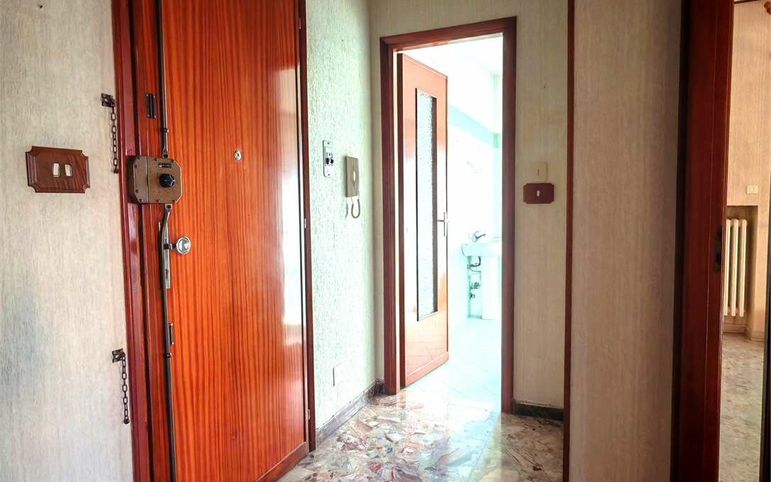 imm_18269-20251128160034-1280