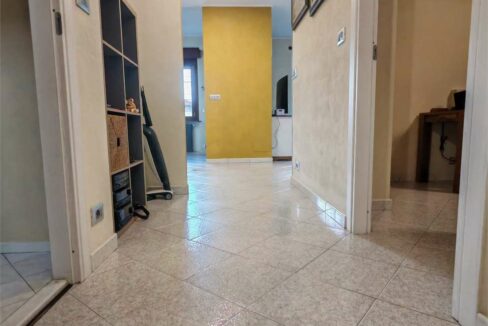 imm_17501-20250728162929-1280