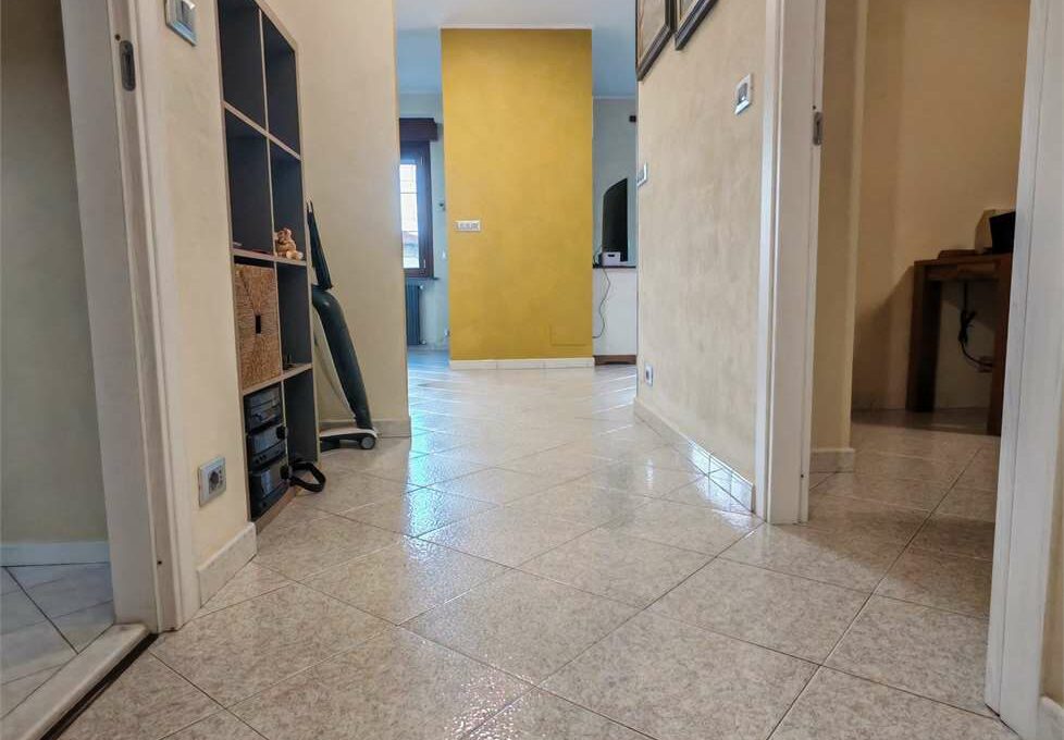 imm_17501-20250728162929-1280