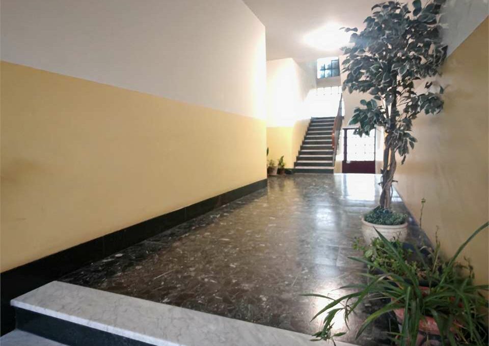 imm_18337-20251218115326-1280