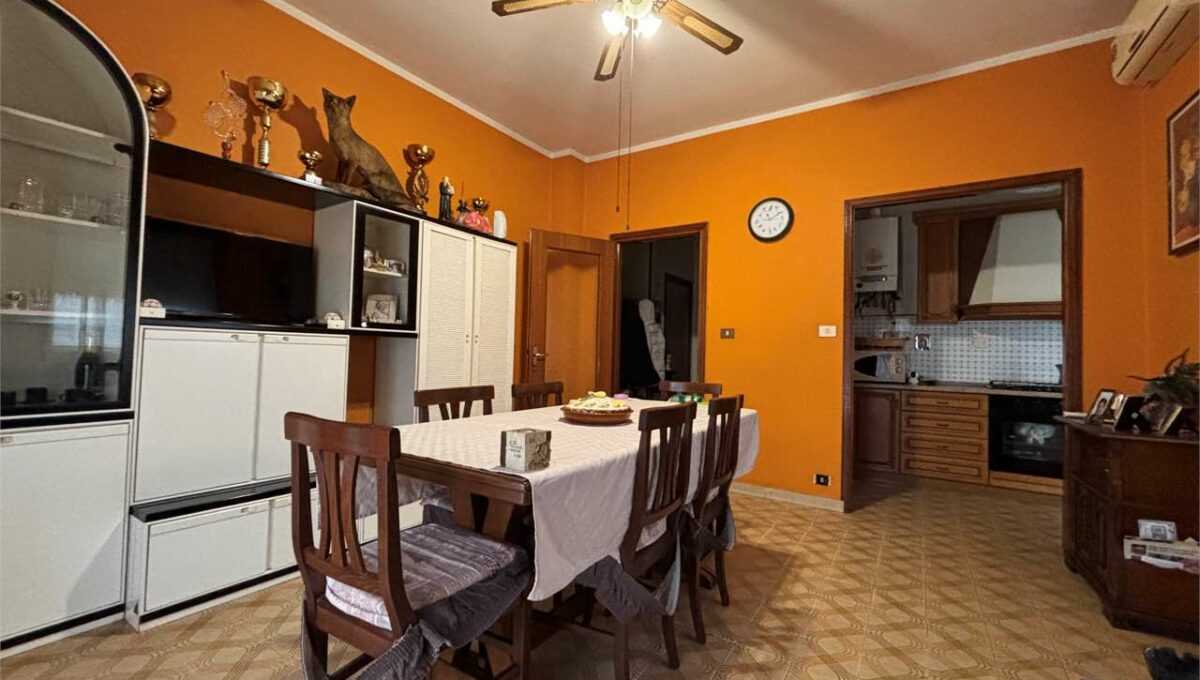 imm_18427-20260121180701-1280