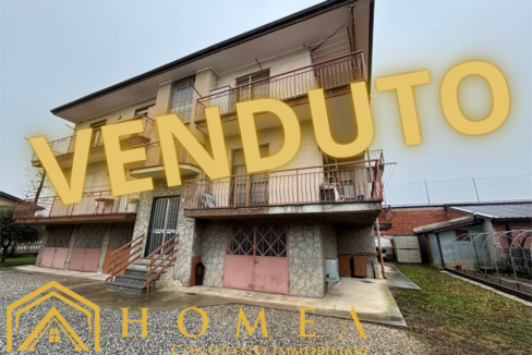 imm_18636-20260218163636-1280