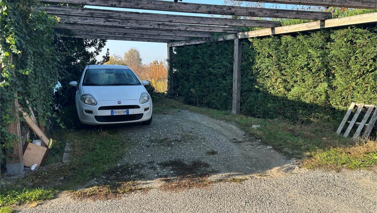 imm_18683-20260224191551-1280