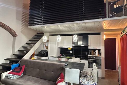 imm_18694-20260224191447-1280