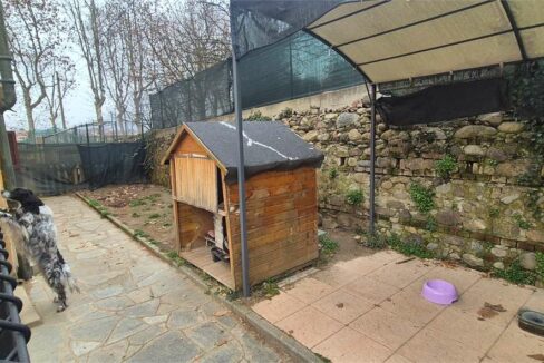 imm_18711-20260305161340-1280