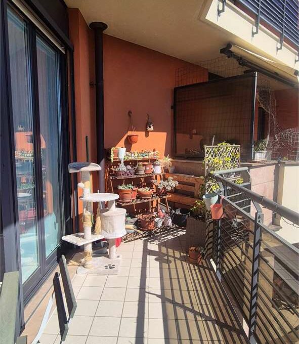 imm_19124-20260427183416-1280