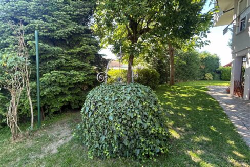 imm_19250-20260514170858-1280