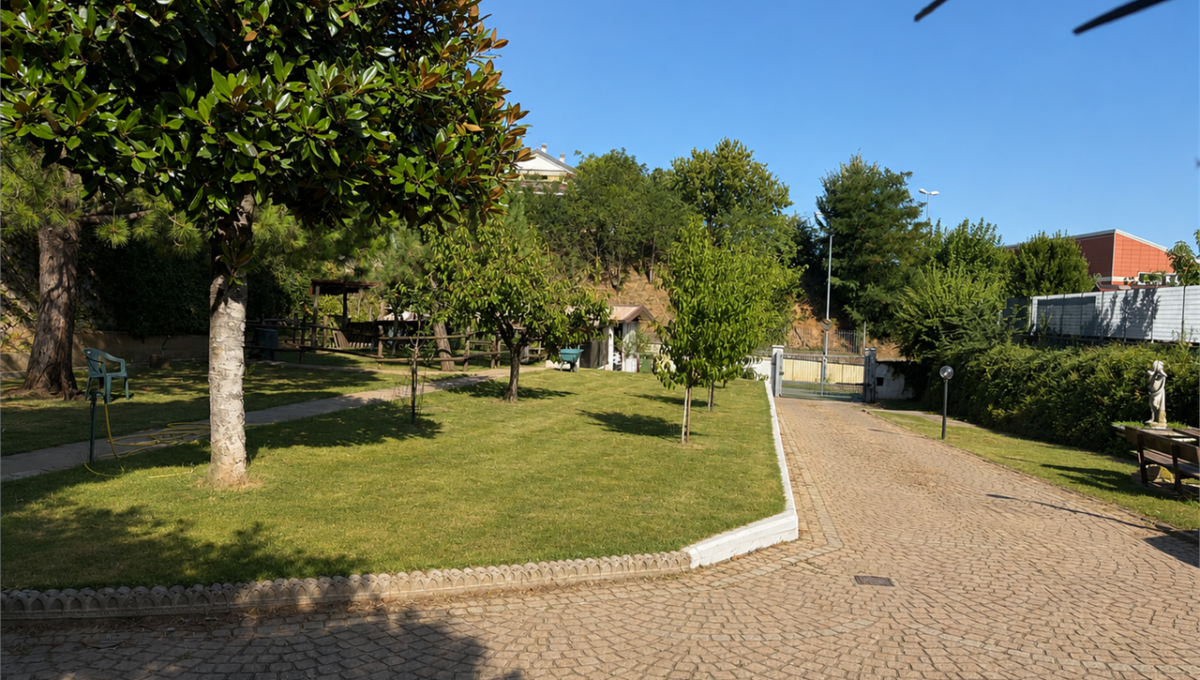 imm_20260-20260909094609-1280