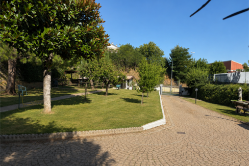 imm_20260-20260909094609-1280