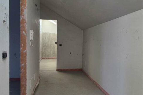 imm_20586-20261022161158-1280